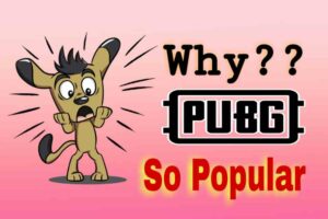 Why Pubg is so Popular