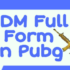 TDM Full Form in Pubg