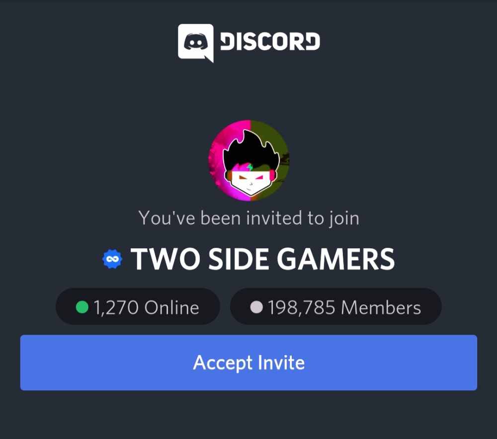 Two Side Gamers - Animated Discord Pfp